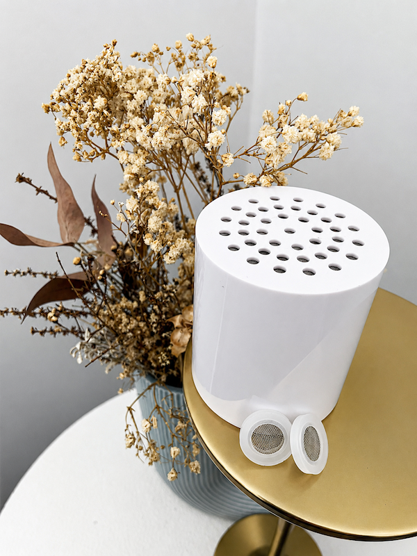 Beauty Shower Filter